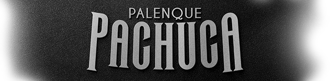 Logotipo Palenque Pachuca